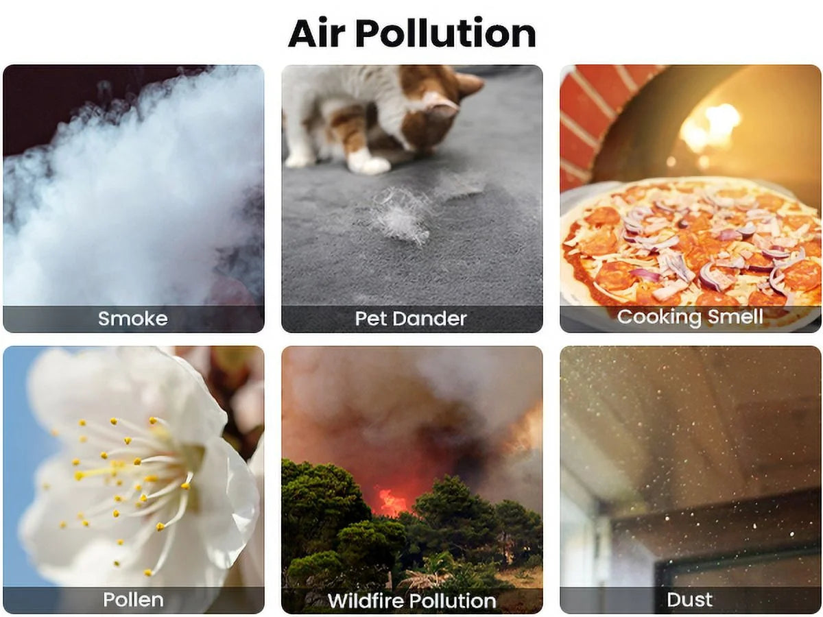 Air Purifier with H13 True HEPA Filter F8822