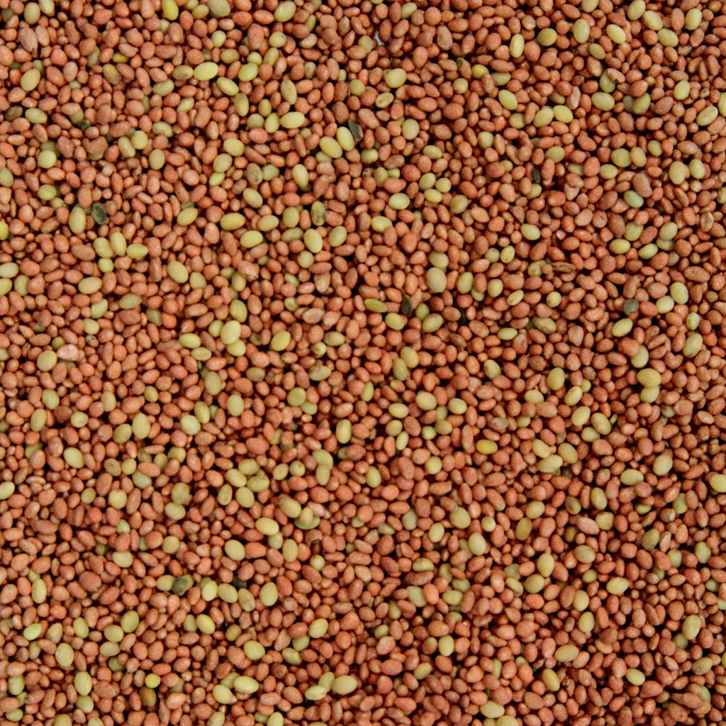 10 lb Bag Deer Food Plot O780794