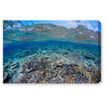 Canvas Art Q41842