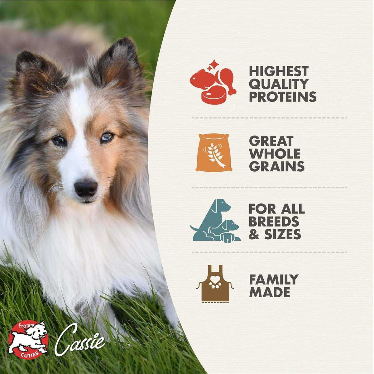 Adult Dog Dry Food X2254