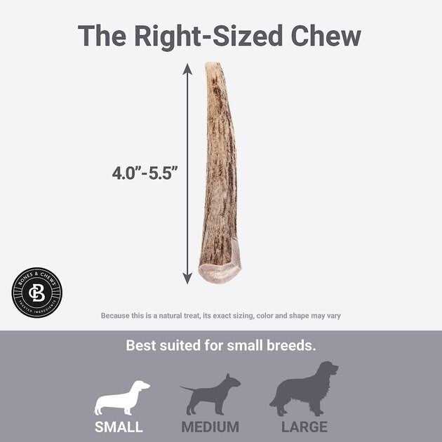 Deer Antler Dog Chew Q555328
