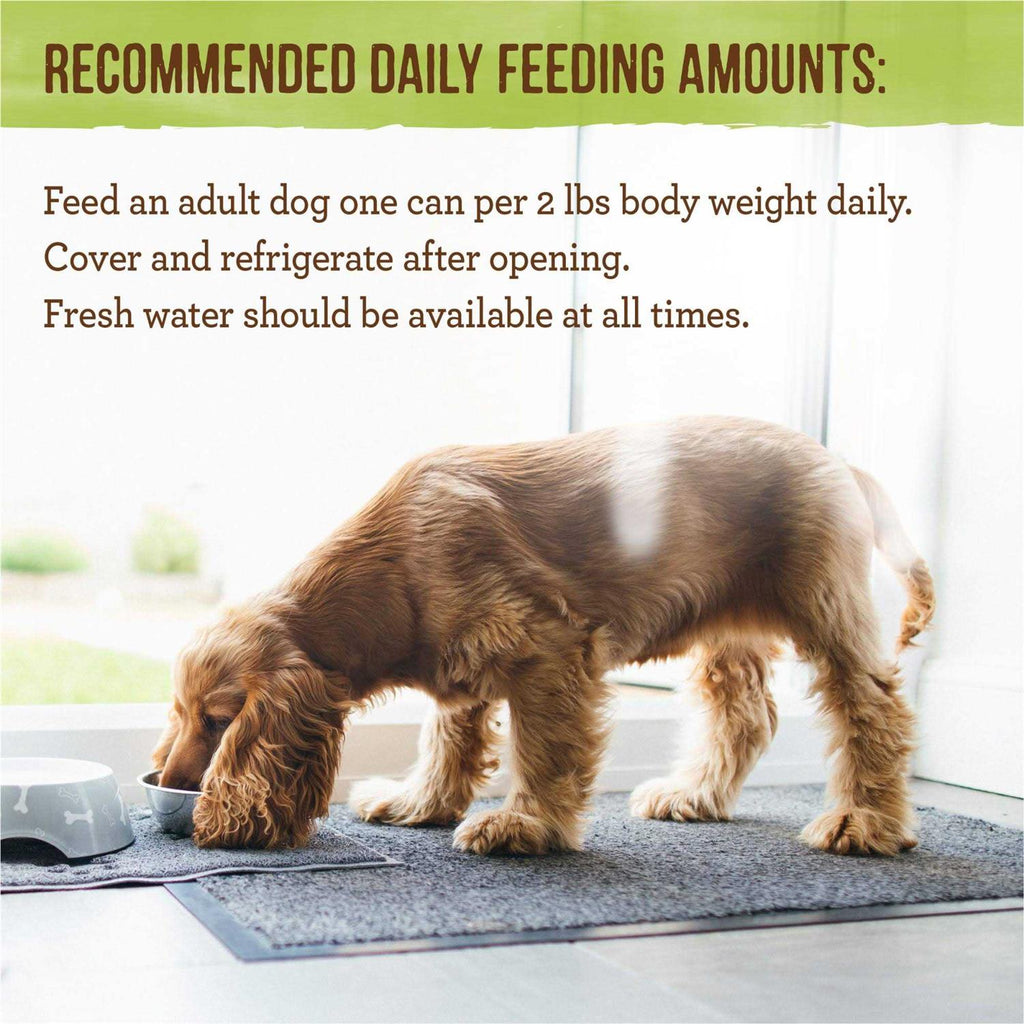 Grain Free Adult Wet Dog Food I781