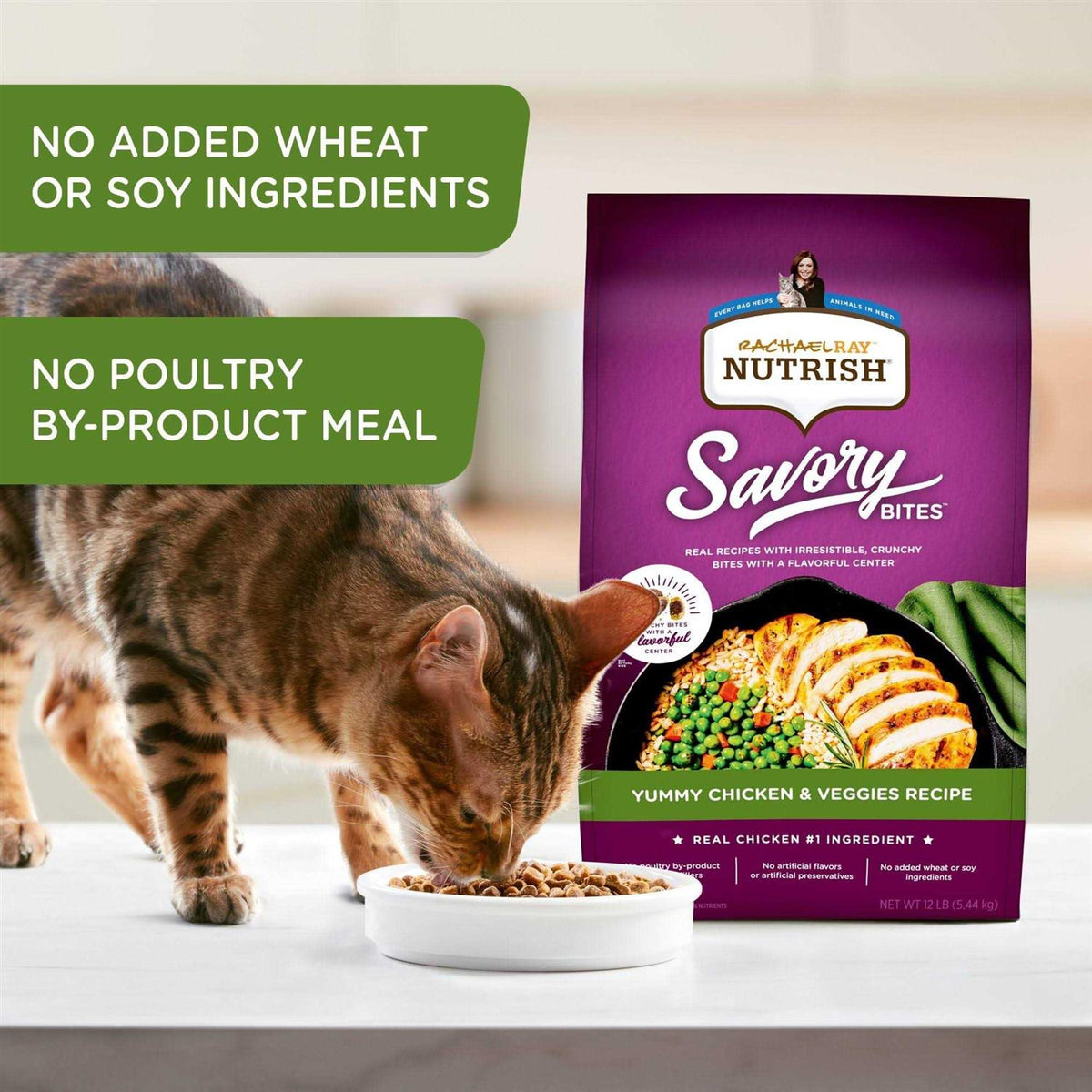 Savory Bites Dry Cat Food G349685