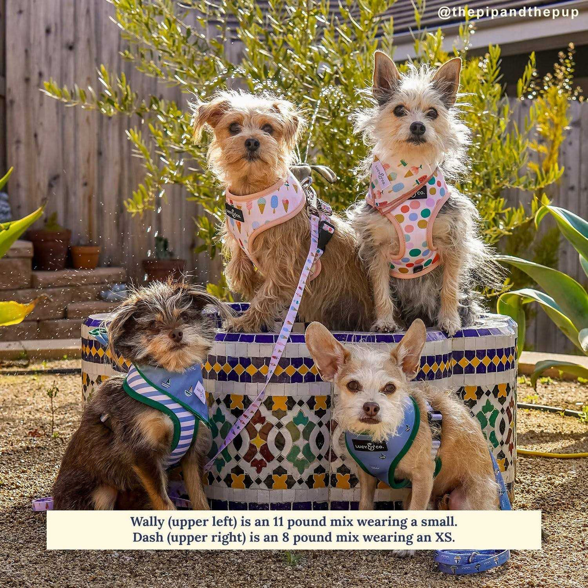 Reversible Harness T445065