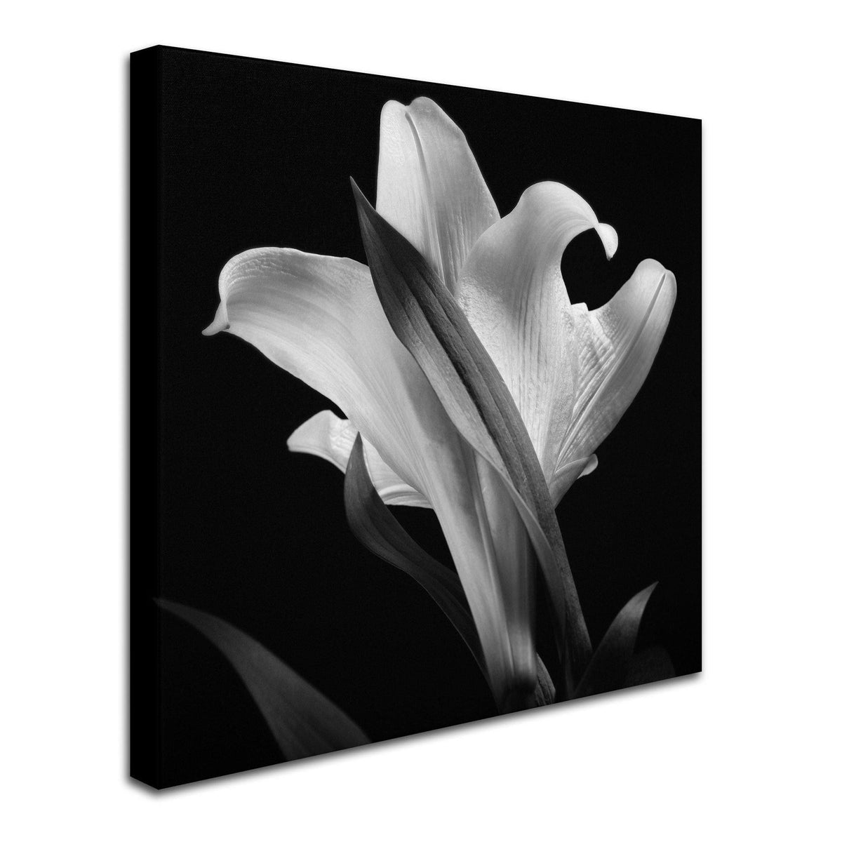 Canvas Art K200