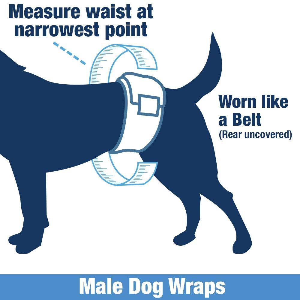 Disposable Male Dog Diapers, 1-Tab Small, 288 Count G986840