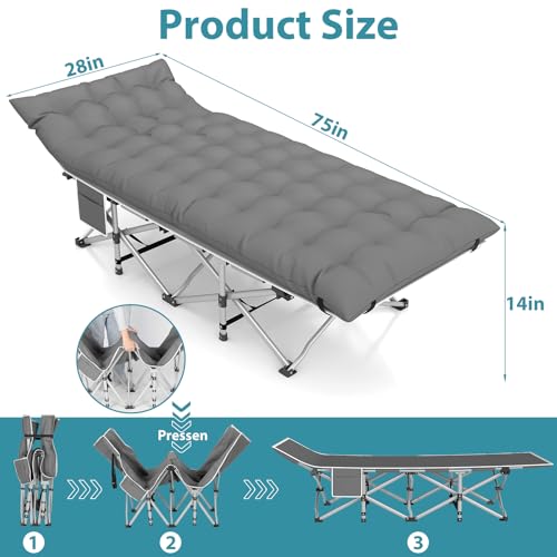 2 Pack Heavy Duty Folding Camping Cot with Carry Bag G23890