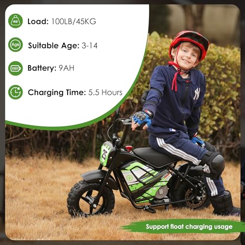 250W 24V 9Ah Electric Bike K1049