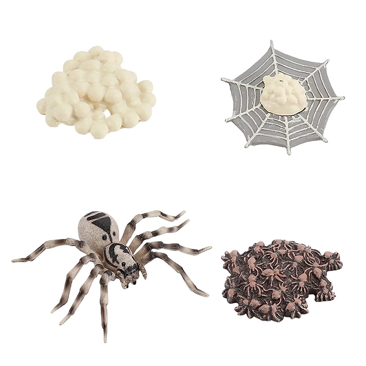 4 Piece Insect Animal Life Cycle Plastic Figures H40809