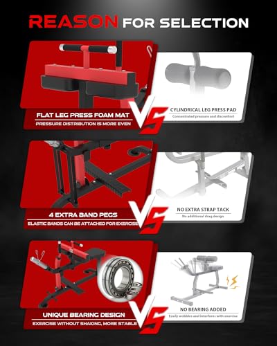 Seated Calf Raise Machine B86884