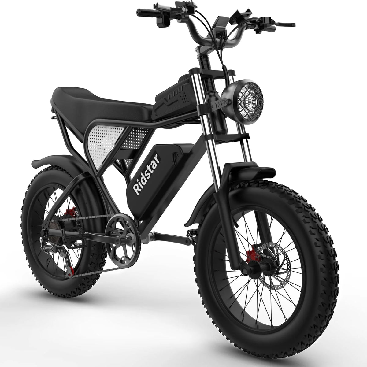 20 Fat Tire 1000W Electric Bike with 48V/20Ah Battery L375