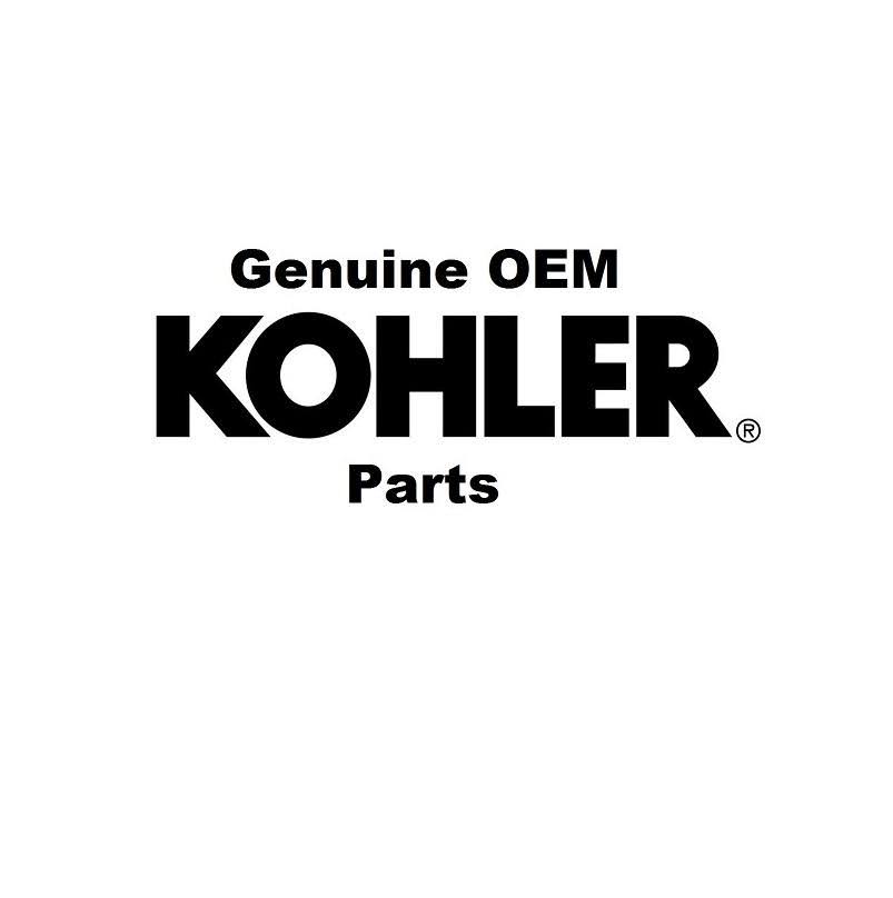 Carburetor Kit with Gaskets L173863