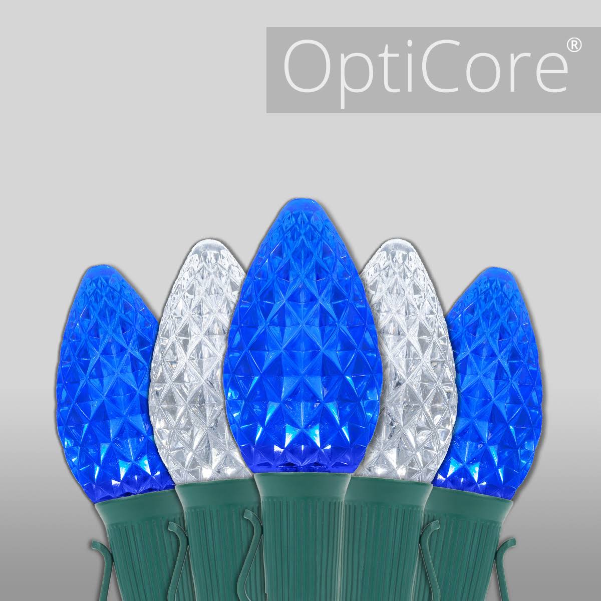 Blue / Cool White LED Christmas Lights F176672