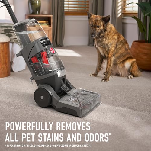 Automatic Carpet Cleaner Machine C5361