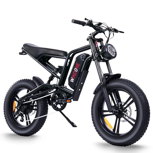 Electric Bike with 48V 13Ah/15Ah Battery, 20"/26'' Fat Tires H2793