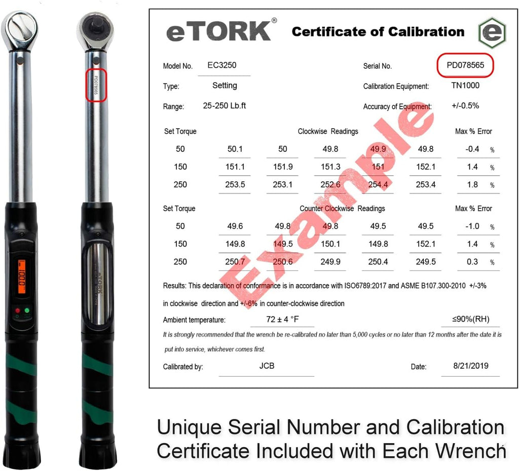 1/2-Inch Drive Electronic Torque Wrench (25-250 ft.-lb./33.9-339 N.m) Y5936