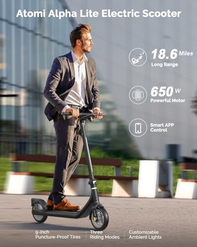 500W Electric Scooter with 19 Miles Range V1559