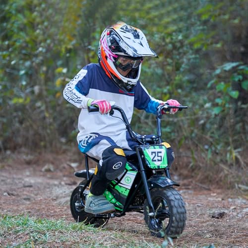 250W 24V 9Ah Electric Bike K1049