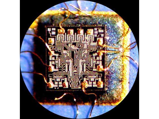 Trinocular Stereo Zoom Microscope with WH10x Eyepieces M827