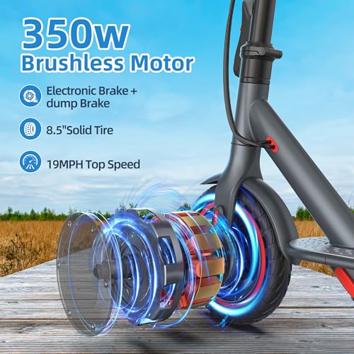 350W Electric Folding Scooter with 8.5" Solid Tires A27823