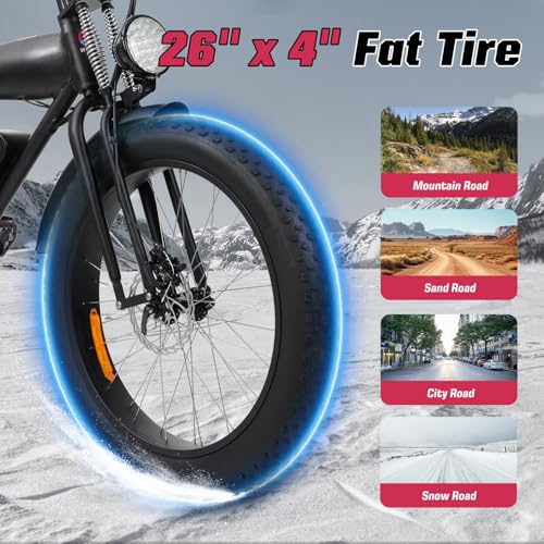 Electric Bike with 48V 13Ah/15Ah Battery, 20"/26'' Fat Tires H2793