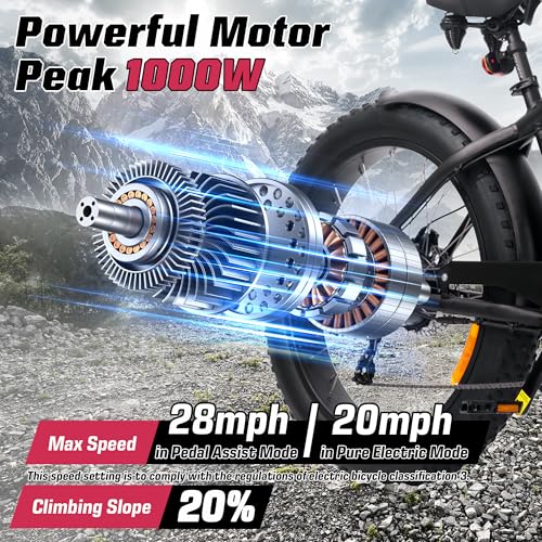 Electric Bike with 48V 13Ah/15Ah Battery, 20"/26'' Fat Tires H2793