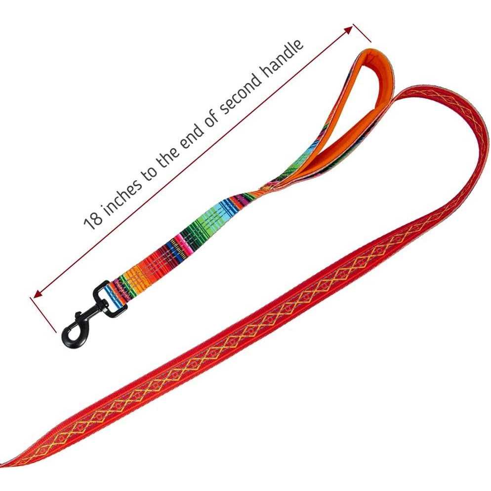 6ft Dog Leash Padded Handle W771