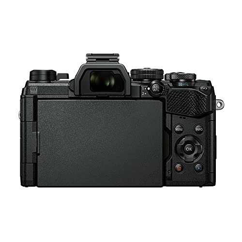 Black Mirrorless Camera U260