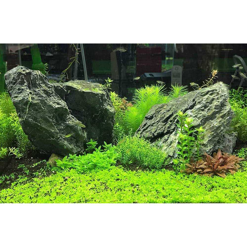 Acid Buffer E886