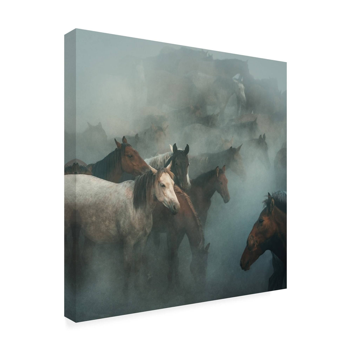 Canvas Print 'Lost Horses' T4902