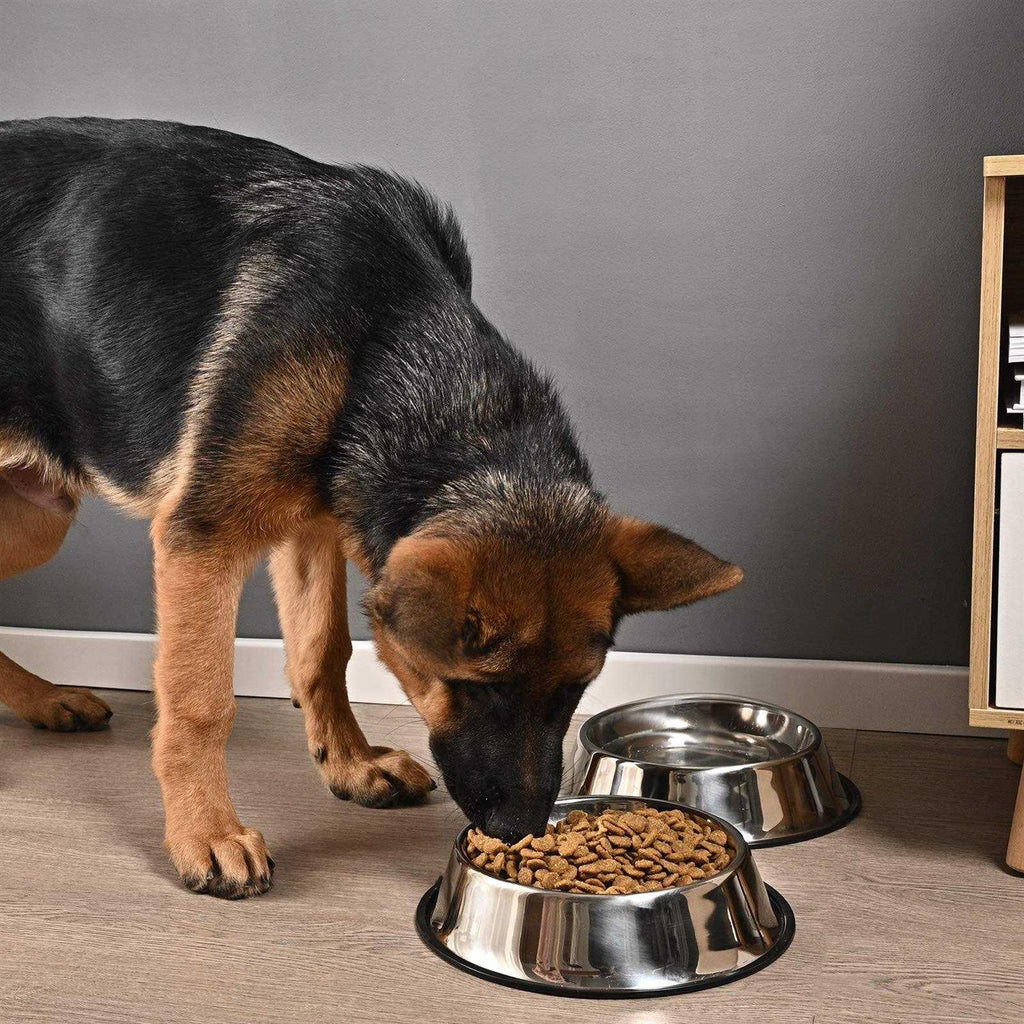 2 Packs Stainless Steel Dog Bowl with Anti-Skid Rubber Base A11994