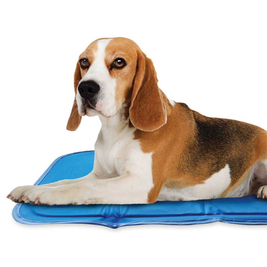 Sage Gray Self Cooling Pet Pad Y70179