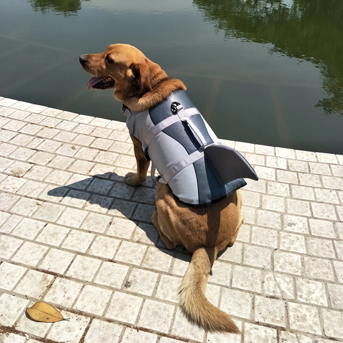 Lifejackets L43735