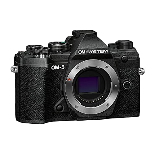 Black Mirrorless Camera U260