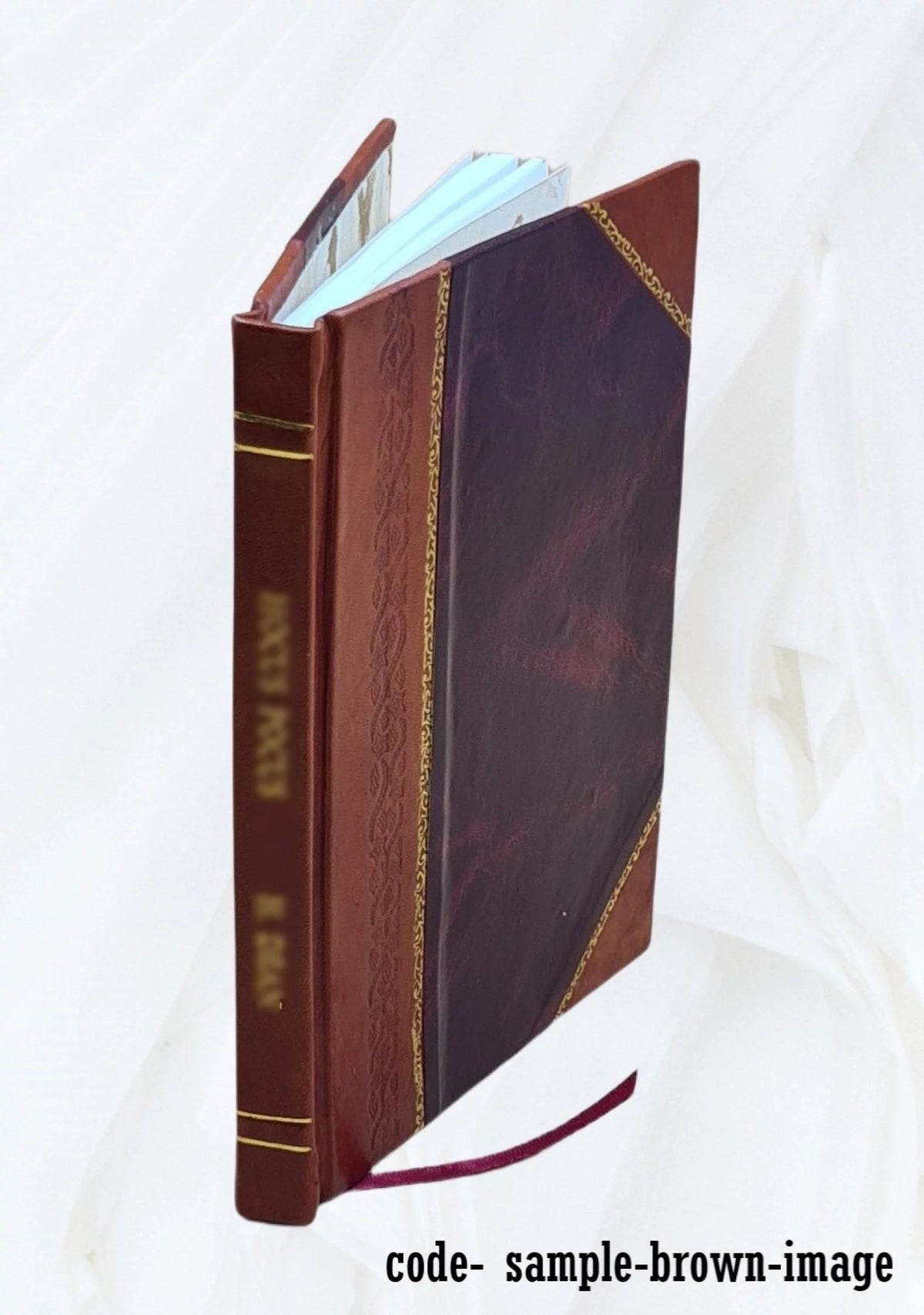 Leather Bound Book F700