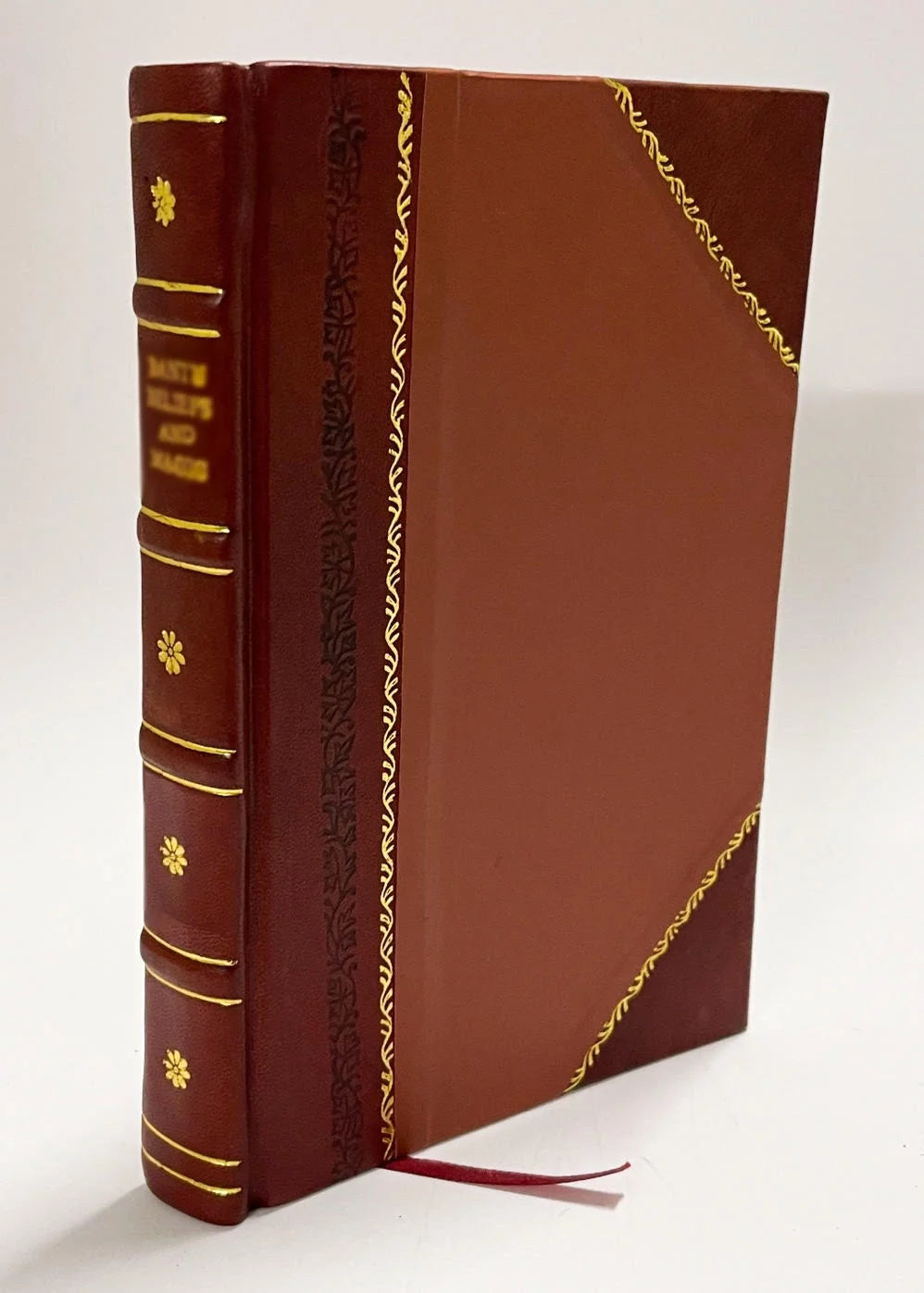 Homeopathic Domestic Physician Leather Bound I390