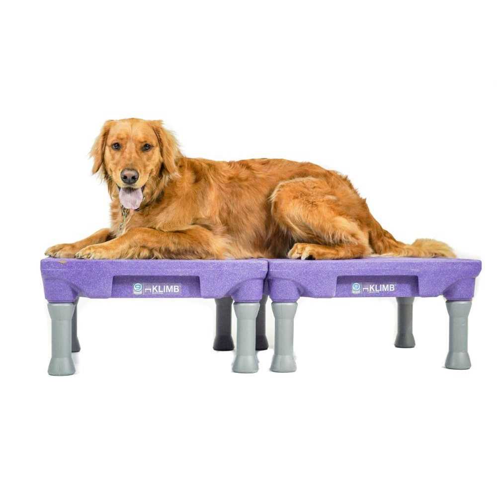 Dog Training Platform & Agility System G27798
