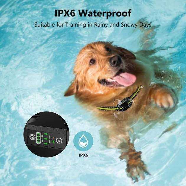 Waterproof Dog Bark Collar A19339