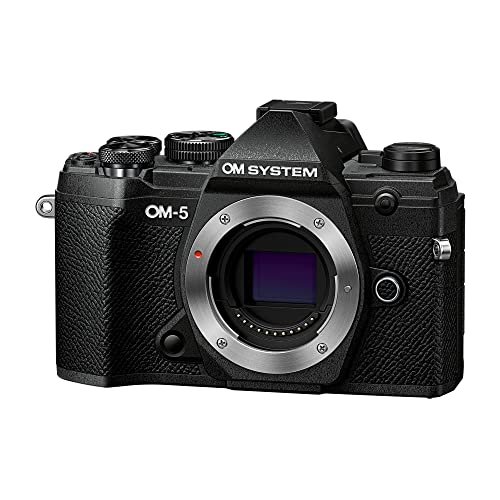 Black Mirrorless Camera U260