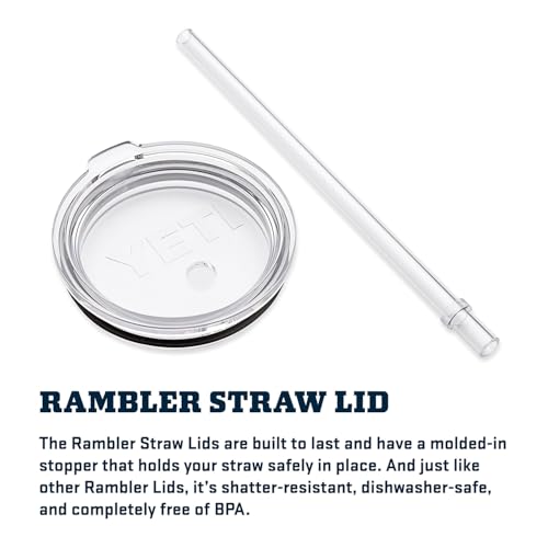 Vacuum Insulated Stainless Steel Tumbler with Handle and Straw Lid J900