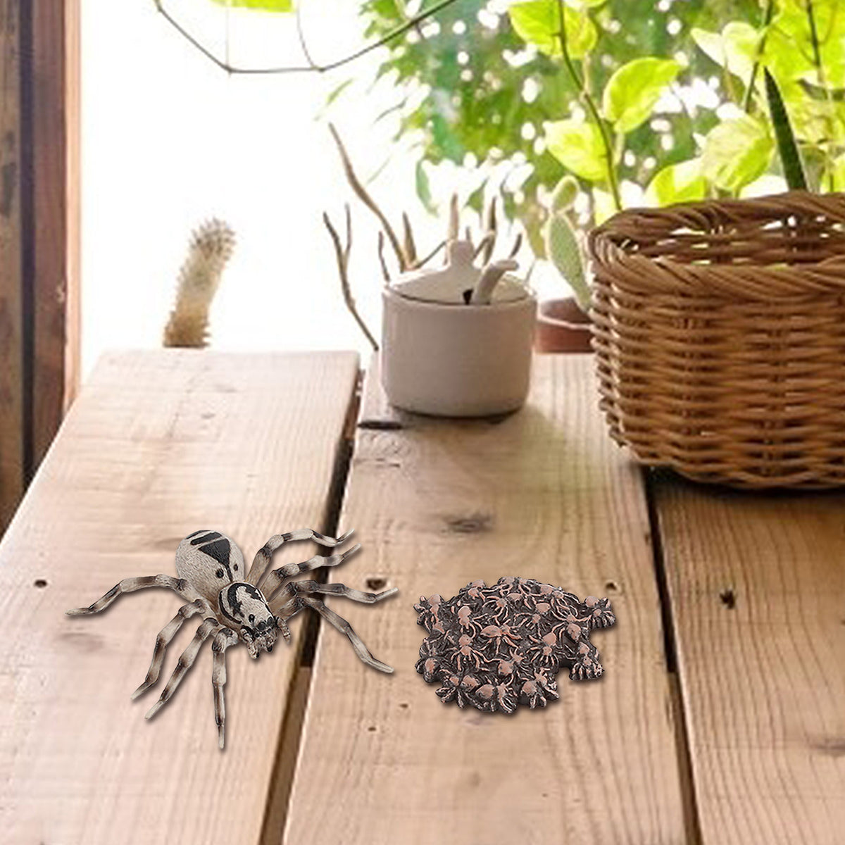 4 Piece Insect Animal Life Cycle Plastic Figures H40809