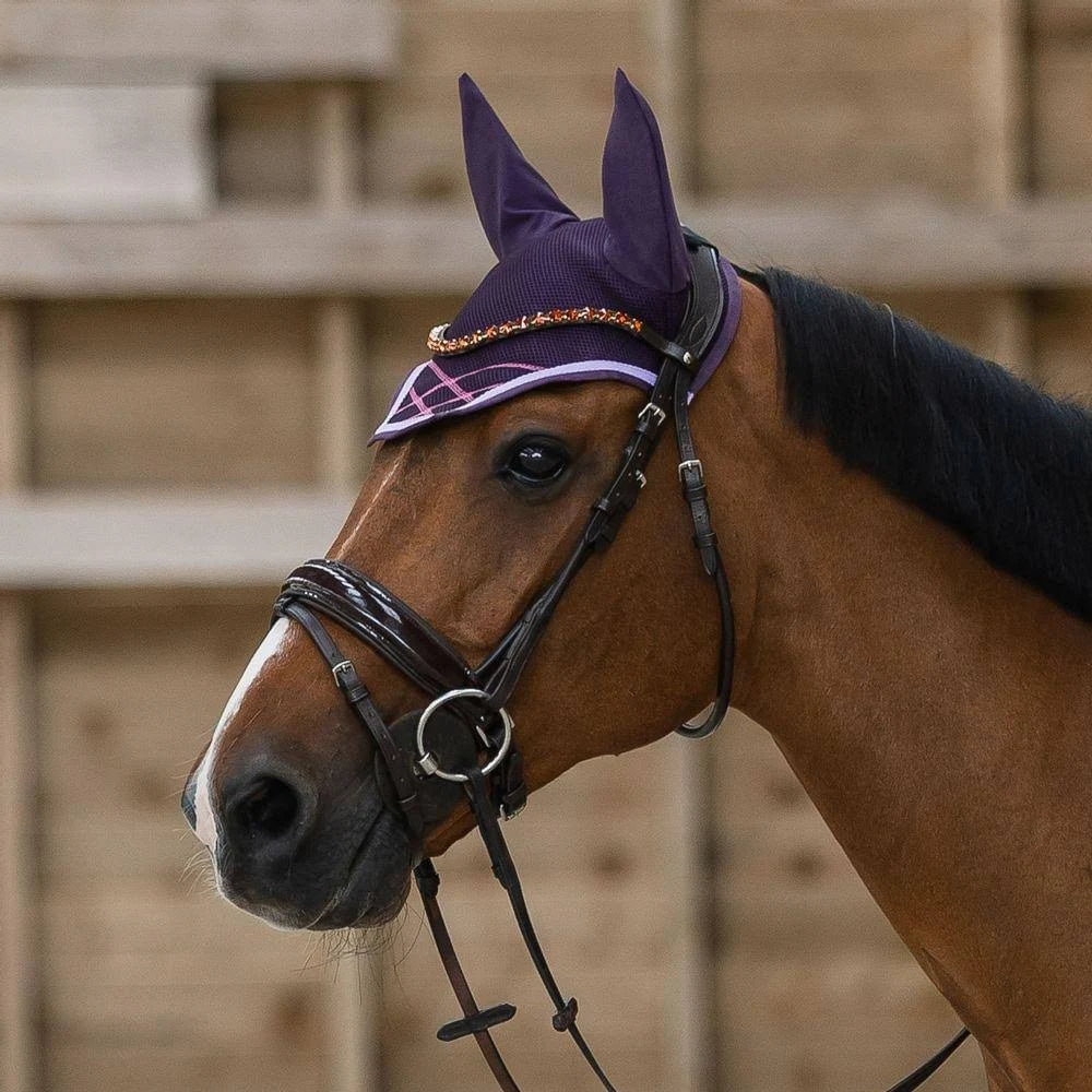 Black Warmblood Bridle I99365