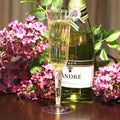 Plastic Wine Champagne Flutes Disposable Glasses Z881829
