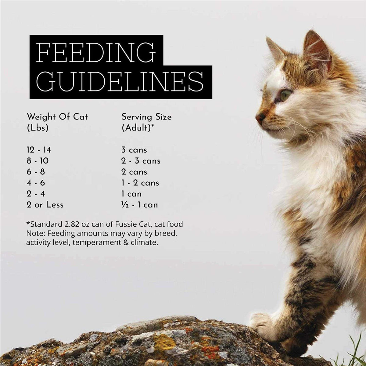 Chicken Gravy Cat Food F5842