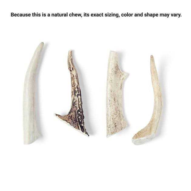 Deer Antler Dog Chew Q555328