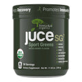 Organic Green Juice Powder Mixed Berry Flavor 30 Servings E581