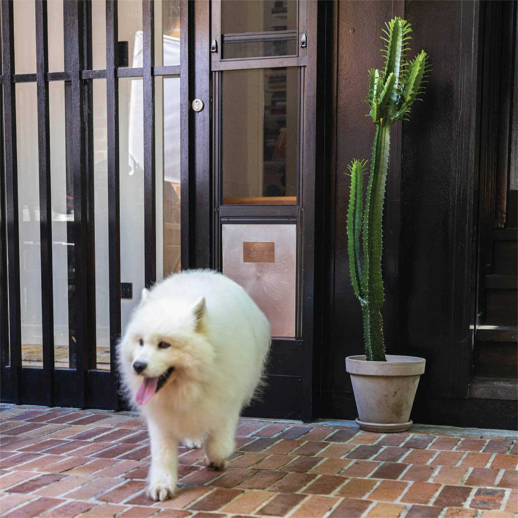 Patio Pet Door Screen Insert Panel for Sliding Doors C695534