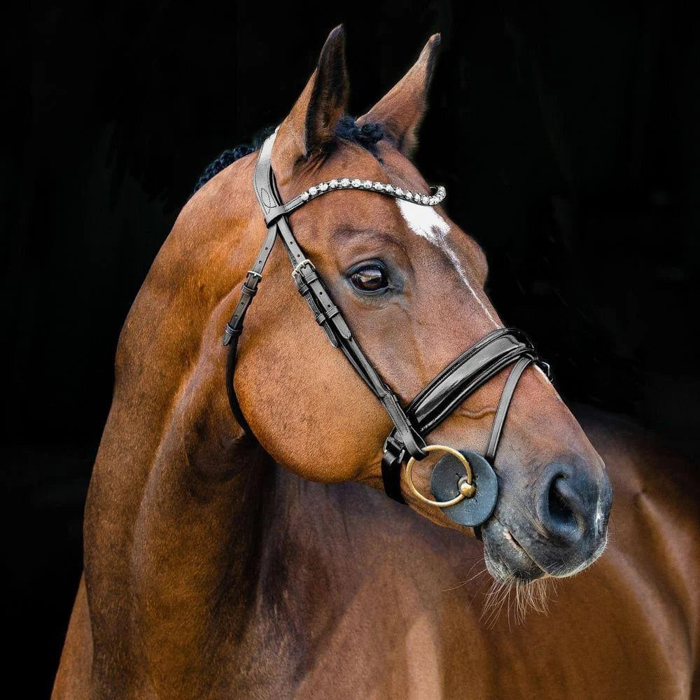 Black Warmblood Bridle I99365