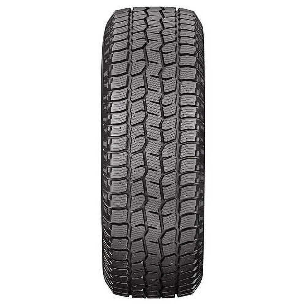 Winter Light Truck Tire B446076