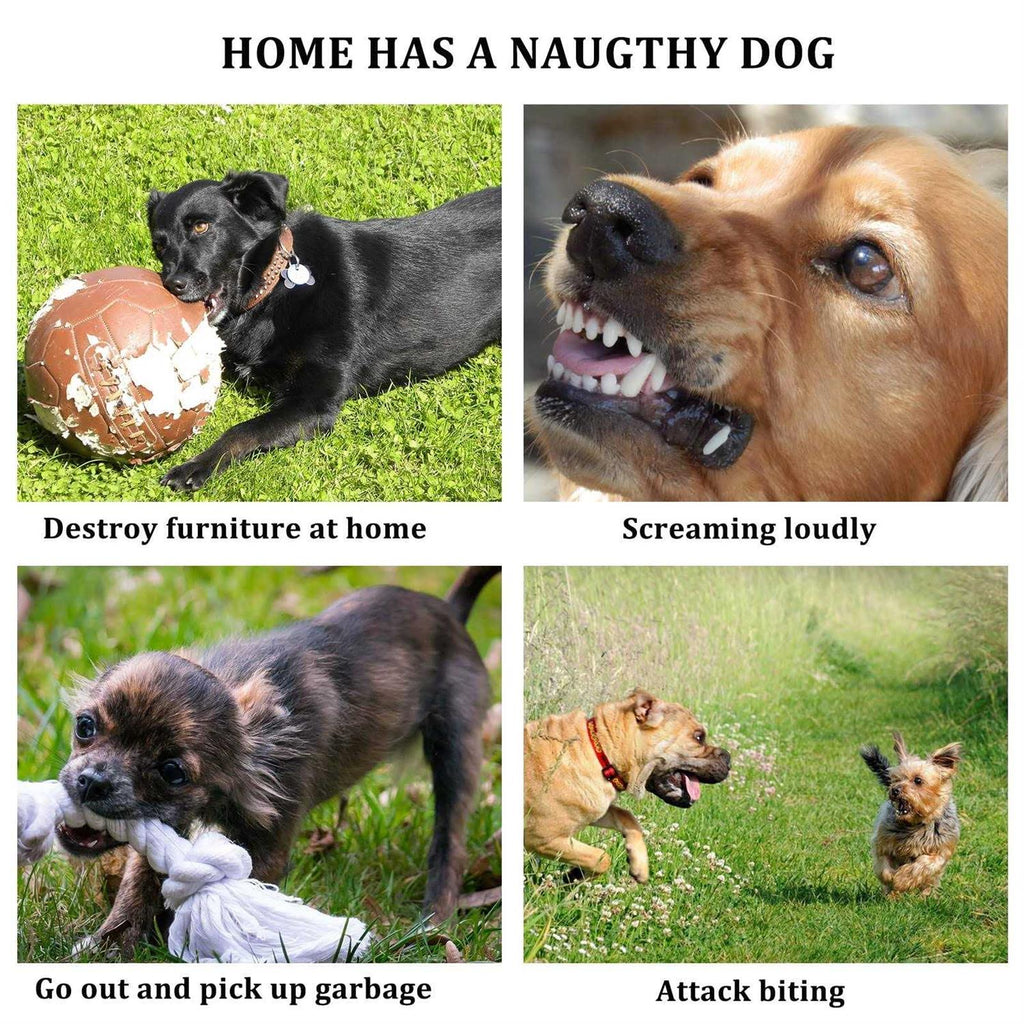 3pcs Silicone Dog Muzzle Anti Barking Chewing Adjustable Q933647